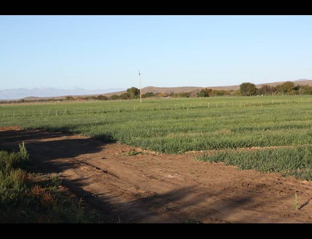 4,642HA FARM FOR SALE IN LEEU GAMKA